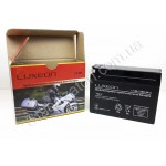 LUXEON LT-4B-12V-2.3 AH фото товара